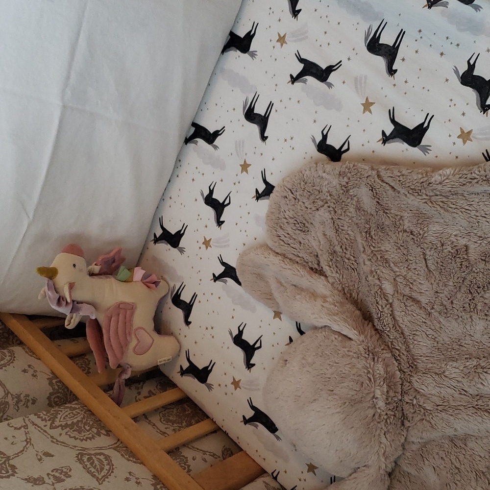 Pottery Barn Kids Modern Baby Crib/Toddler Sheet